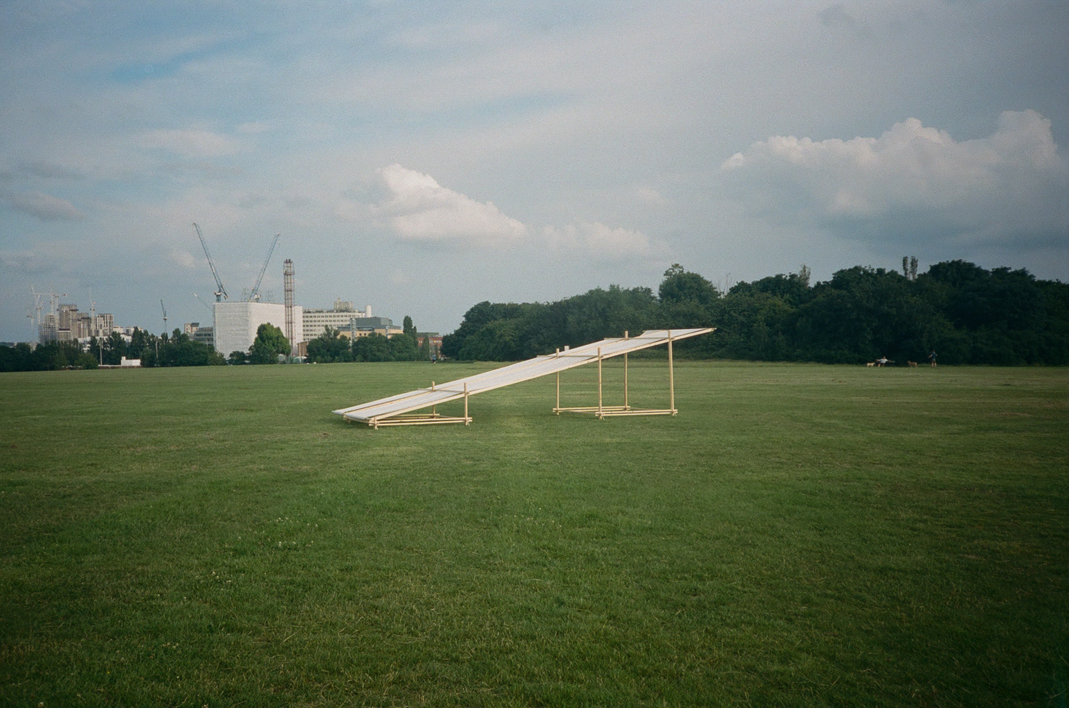 whole_01