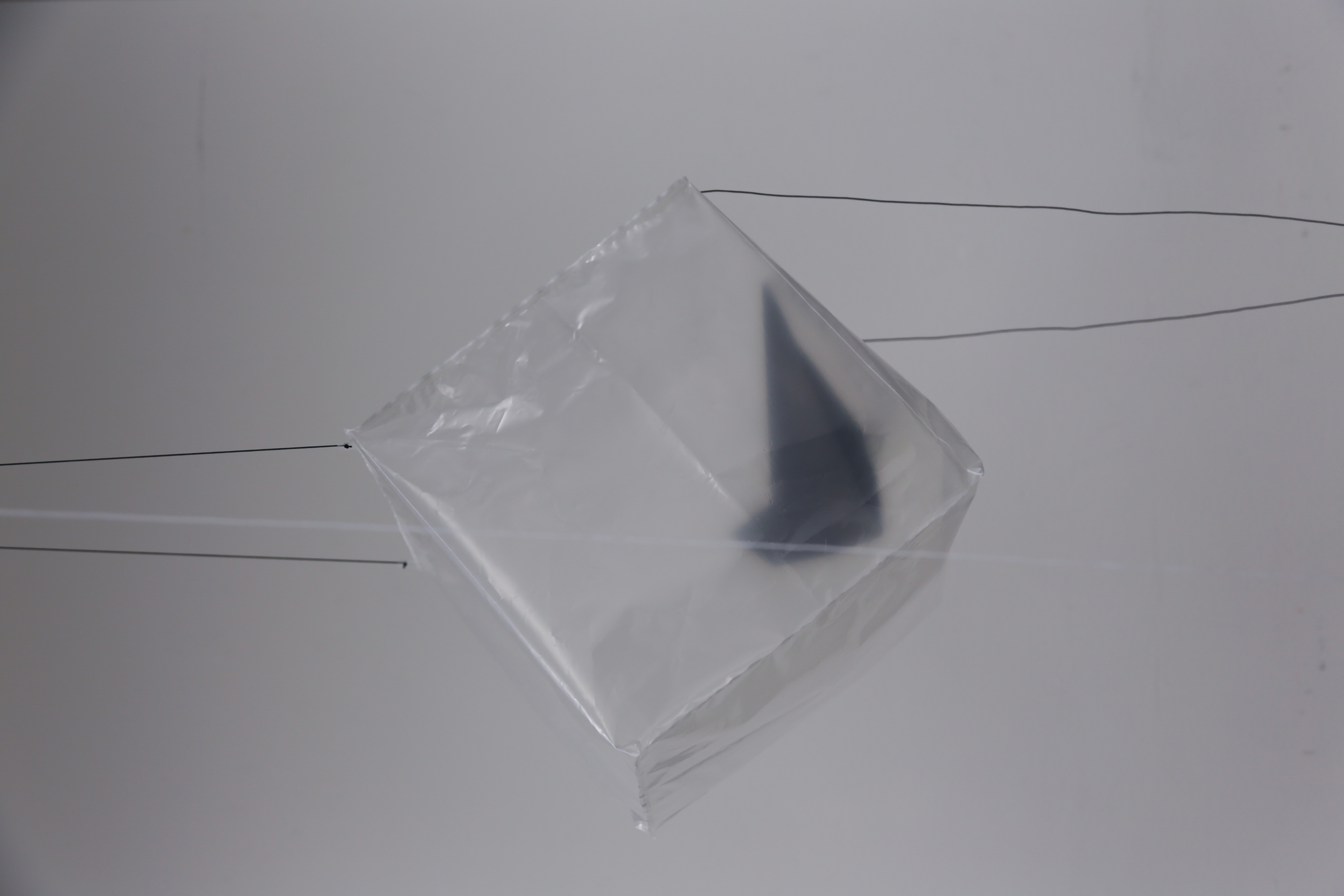 details_01